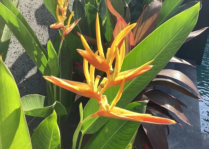 Lima Seminyak